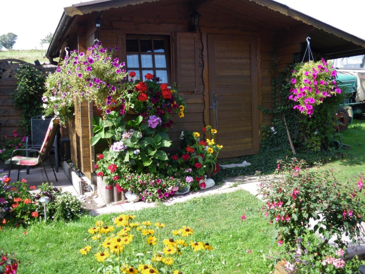 Pension Haus Ludwig Schotten Exterior foto